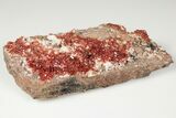Ruby Red Vanadinite Crystals on Barite - Morocco #196340-2